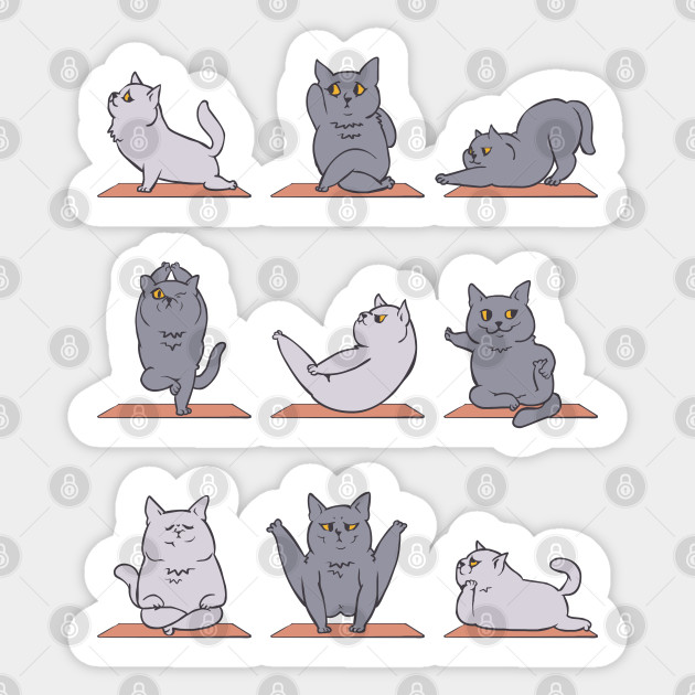 British Shorthair Cat Yoga British Shorthair Sticker Teepublic