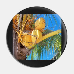 Coconut tree Pin