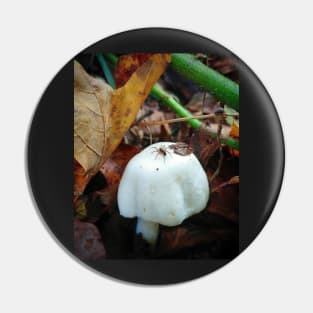 Tiny Spider On Tiny Mushroom Pin