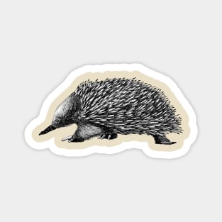 Echidna Magnet