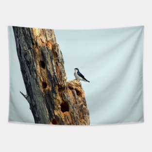 Barn Swallow Tapestry