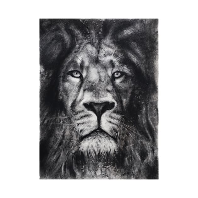 Lion - charcoal drawing by Iulian Cetanas