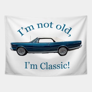 1966 Ford Galaxie 500 Tapestry