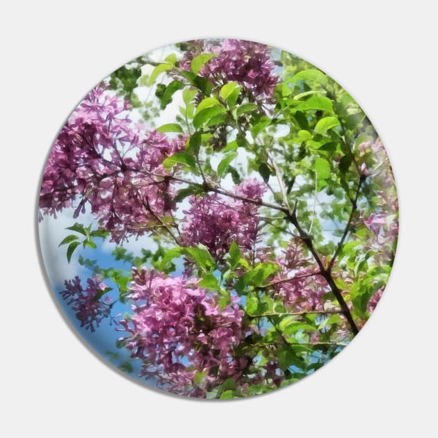 Lilacs and Clouds Pin by SusanSavad