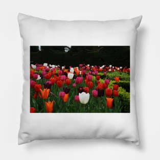 Nymans Tulips Pillow