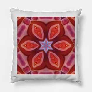 scarlet and red hexagonal intricate kaleidoscope floral fantasy design Pillow