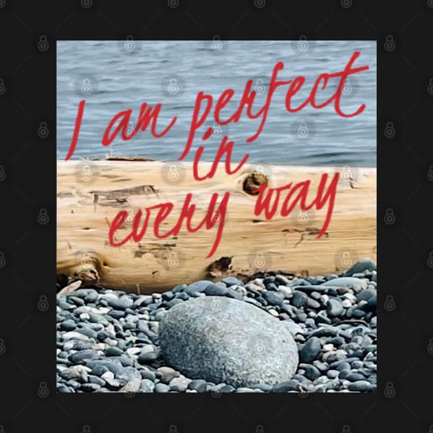 I AM PERFECT IN EVERY WAY by BOUTIQUE MINDFUL 