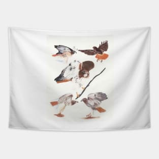 Redtailed Hawk Selfie Tapestry