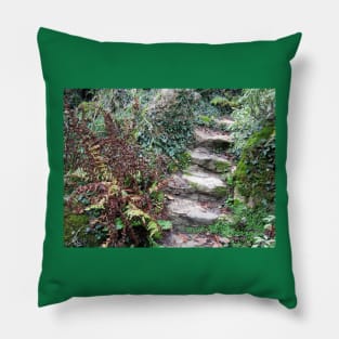 Paris Stairway to Heaven at Arenes de Lutece Pillow