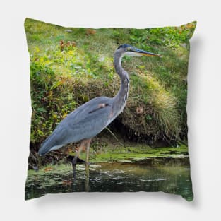 Great Blue Heron Pillow