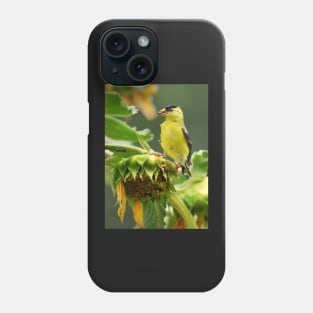 Goldfinch on sunflower Phone Case