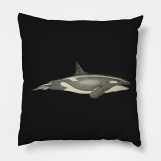Killer whale Pillow