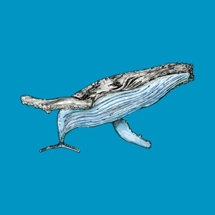 Humpback Whale T-Shirt