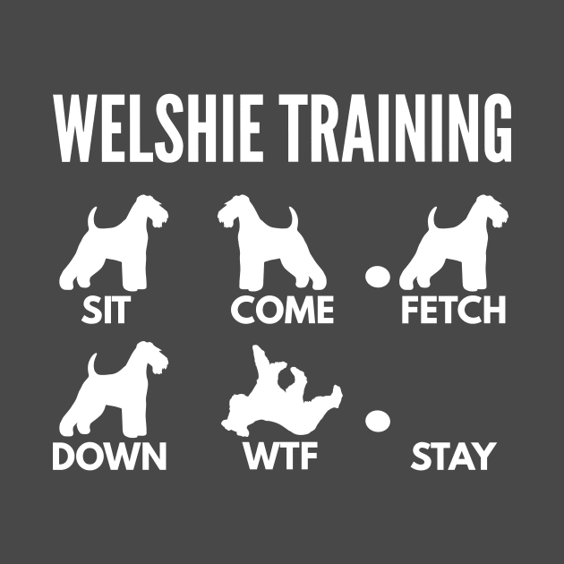 Welsh Terrier Training Welshie Dog Tricks by DoggyStyles