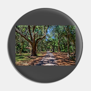 Cumberland Island National Seashore Pin