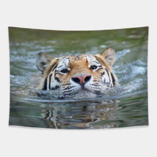 Tiger 028 Tapestry