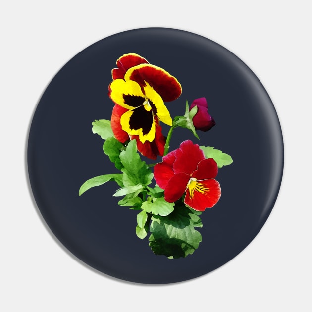 Pansies - Pansy Family Pin by SusanSavad