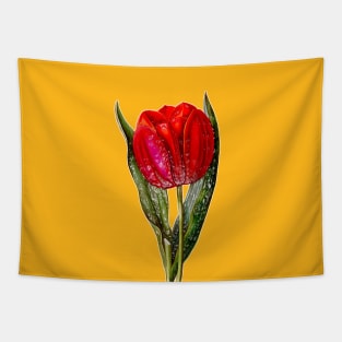 Red Tulip Viscountess Tapestry