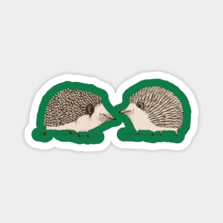 Two Hedgehogs Magnet