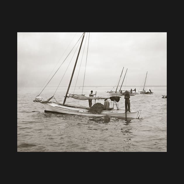 Oyster Boats, 1903. Vintage Photo by historyphoto