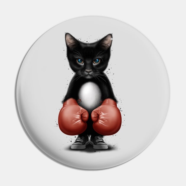 CAT BOXER 2017 Pin by ADAMLAWLESS