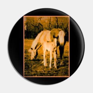 Mare and Foal Pin