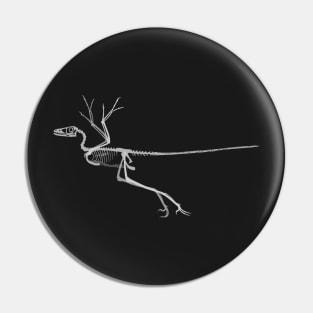 Microraptor gui Skeletal Pin