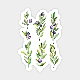 Peace Offering - Watercolour Olive Branches Magnet