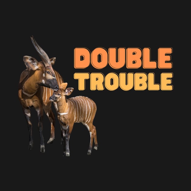 Double Trouble by Finn Dixon