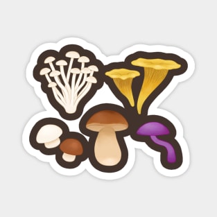 Mushrooms Collection Magnet