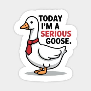 today i'm a serious goose Magnet