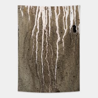 Eroding Cracked Concrete - Alternative I Tapestry