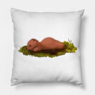 Sleepy Bear Pillow