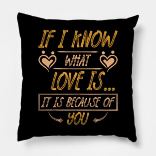 if i know, what love is, quote Pillow