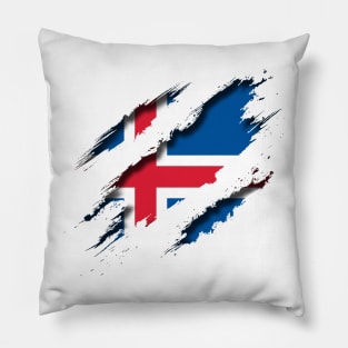 Iceland Shredding Pillow