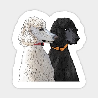 Pair of Poodles Magnet