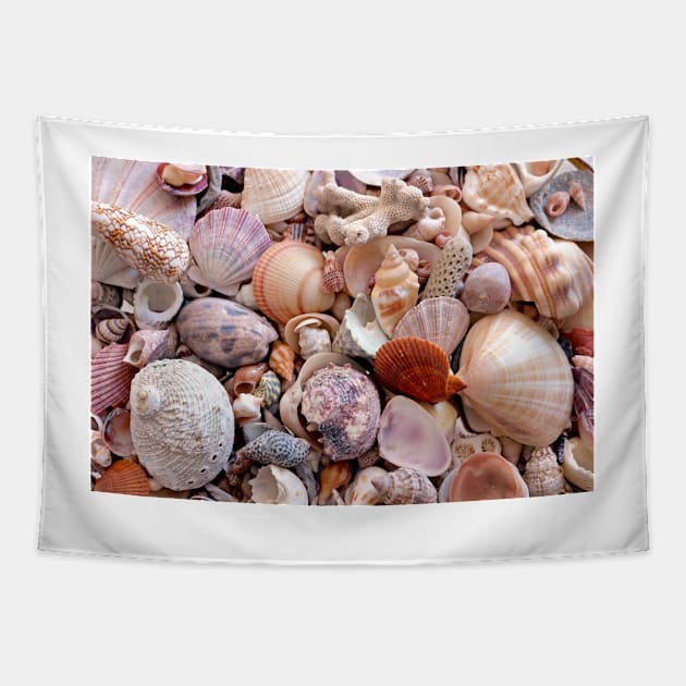 Seashells Tapestry by pinkal