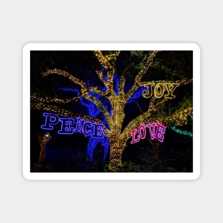 Peace, Joy, Love - night time photo of Texas holiday lights + live oak tree Magnet