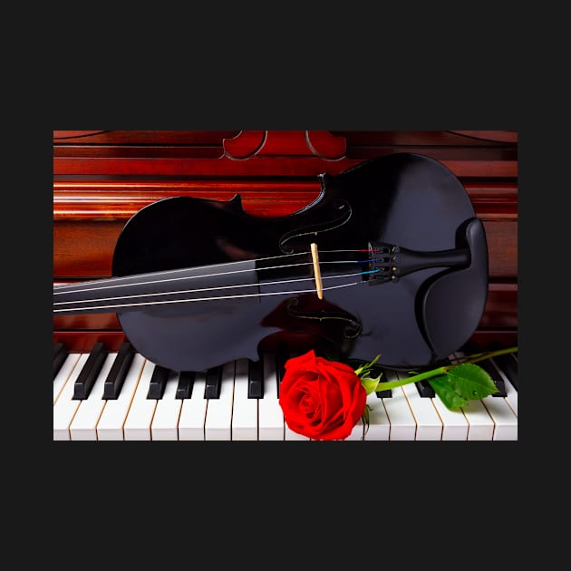 Red Rose And Black Violin by photogarry