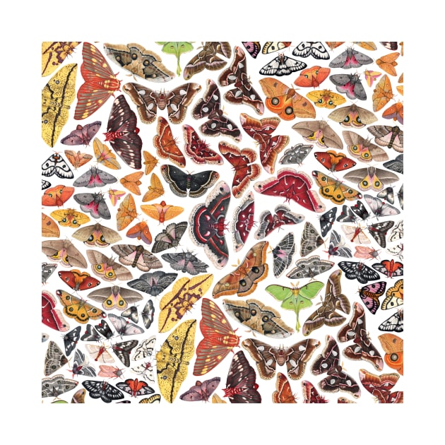 Saturniid Moths of North America Pattern by JadaFitch