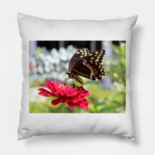 Butterfly On Red Flower Pillow