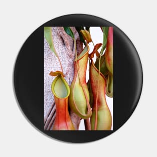 Pitcher Plants Pin