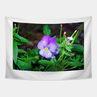 Purple Pansy amongst Greens Tapestry