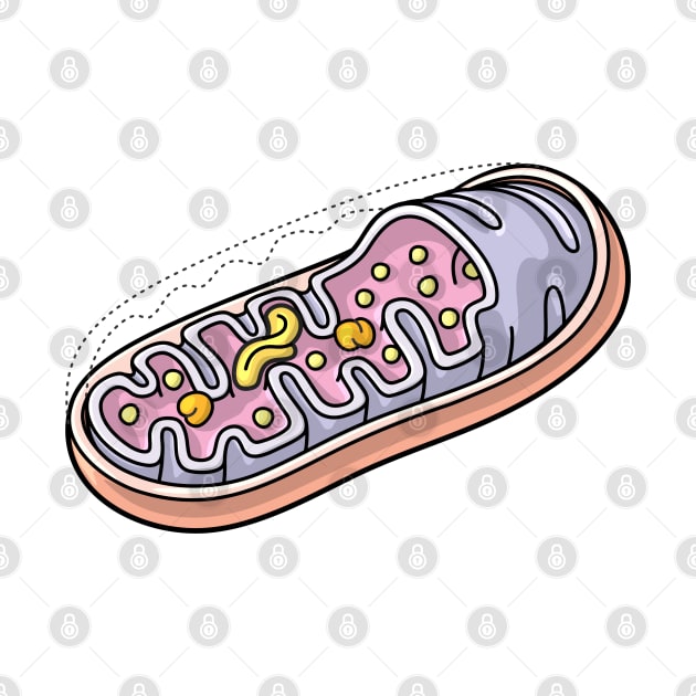 Mitochondrion Illustration by taylorcustom