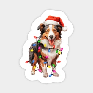 Christmas Collie Magnet