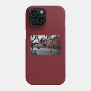 Rainy day in the forest - Clumber Park Phone Case