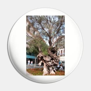 Olive Tree Pin