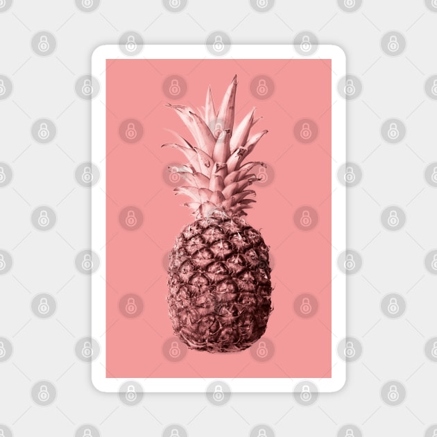 Pineapple 04 Magnet by froileinjuno