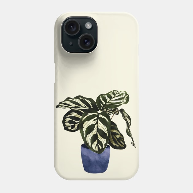 Calathea plant indoorplant Phone Case by Elbuenlimon