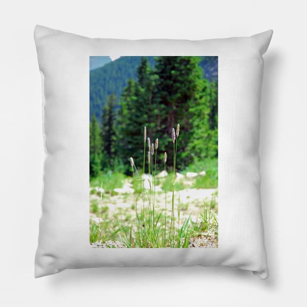 Berthoud Pass Tall Grass Pillow by bobmeyers